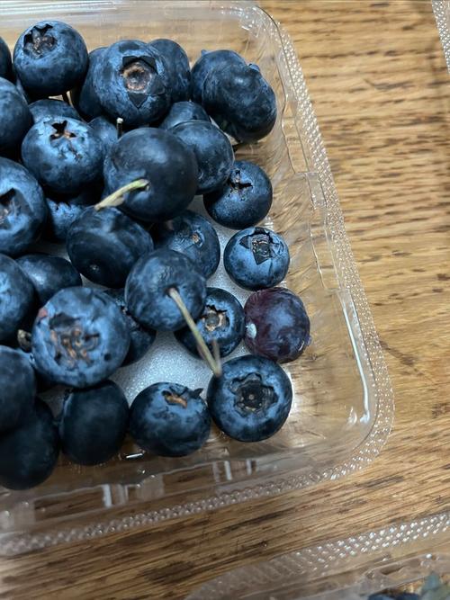 蓝莓肚脐眼里的霉菌,蓝莓肚脐眼里的霉菌能吃吗