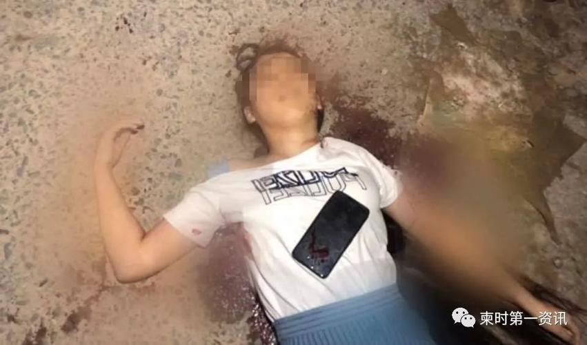 下载中心 第11页